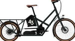 Bike43 Long Bosch Performance Line PX 800Wh-Nexus5 manual