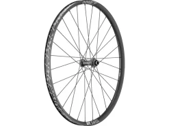DT Swiss E 1900 Spline DB 20 29" / 30 mm