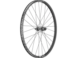 DT Swiss E 1900 Spline DB 20 29" / 30 mm