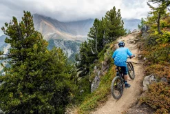 Endura SingleTrack Print T LTD