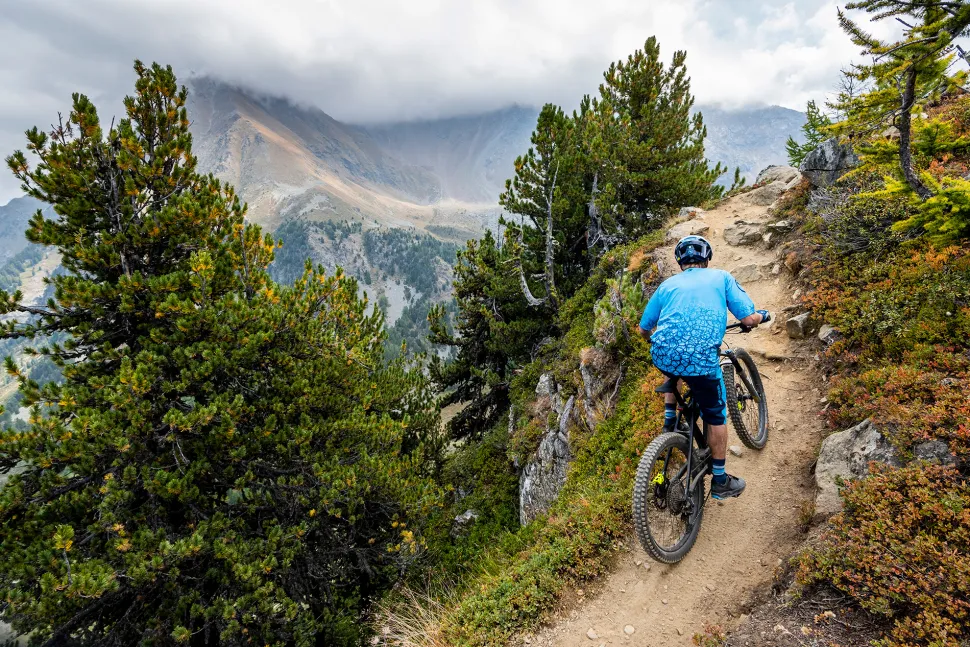 Endura SingleTrack Print T LTD