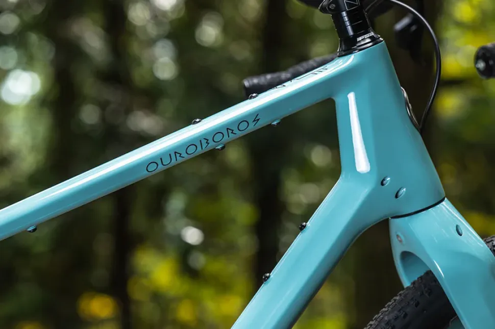 Kona Ouroboros Carbon Deluxe
