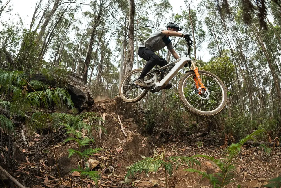Norco Range VLT CX C1