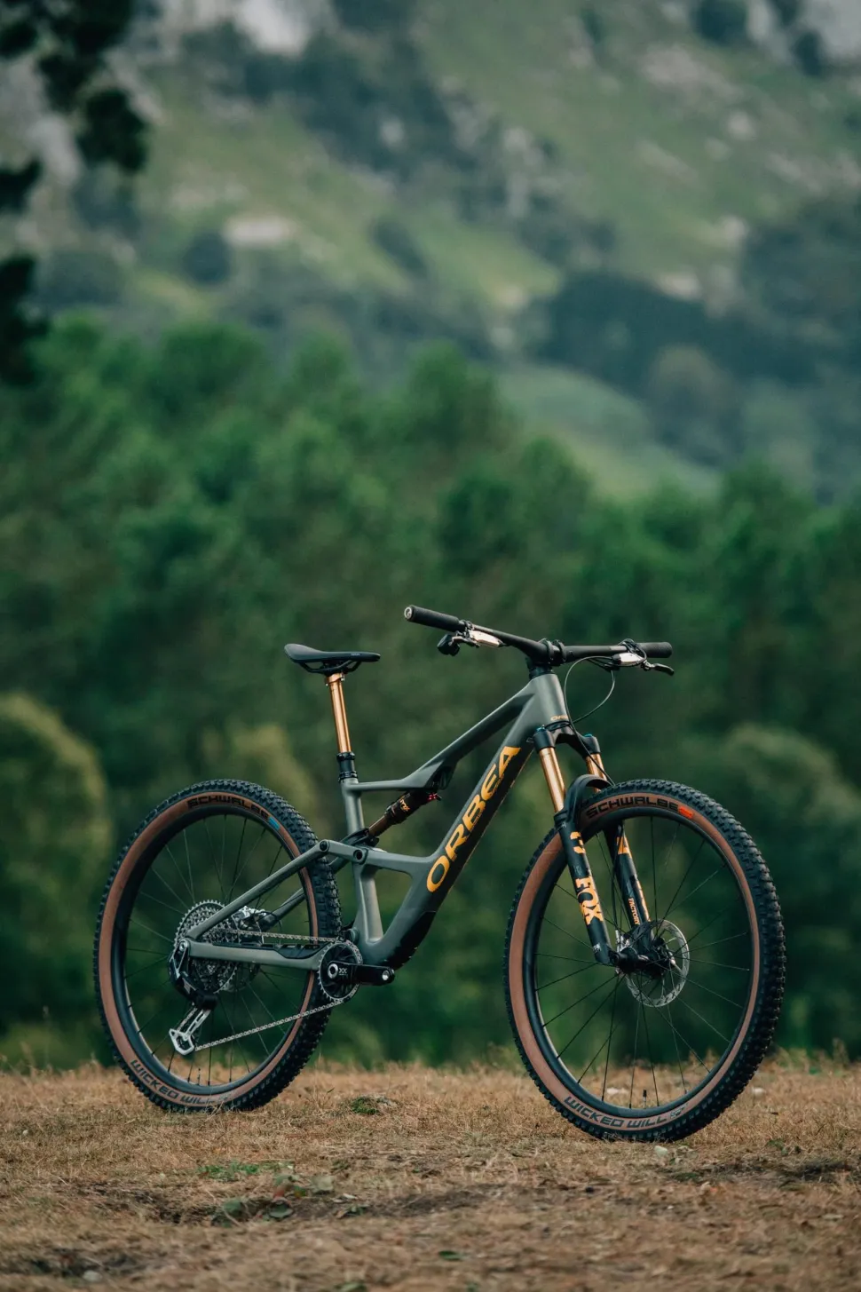 Orbea Occam SL M LTD