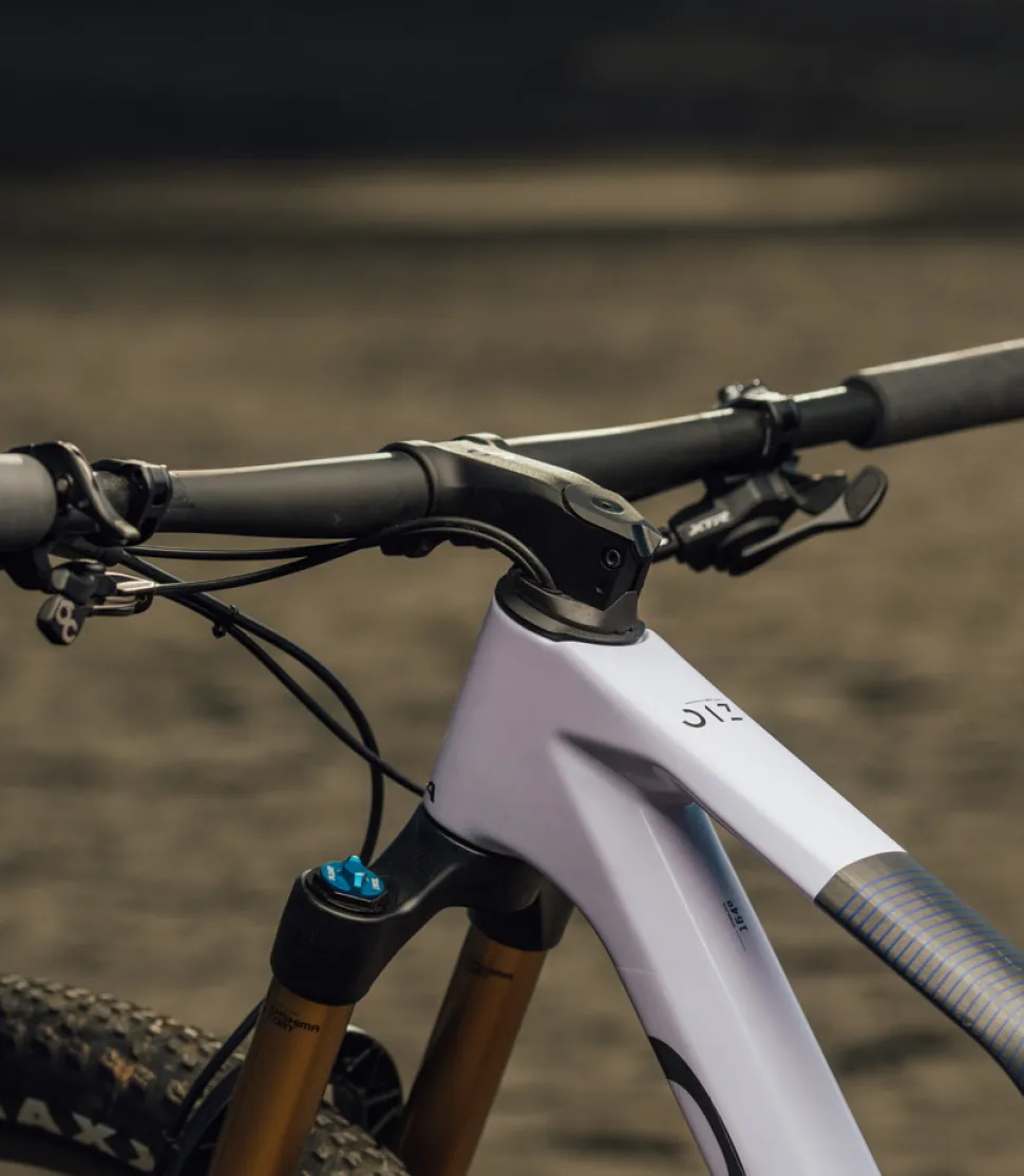 Orbea Oiz H30