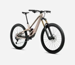 Orbea Rallon E-Team
