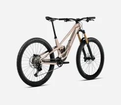 Orbea Rallon E-Team