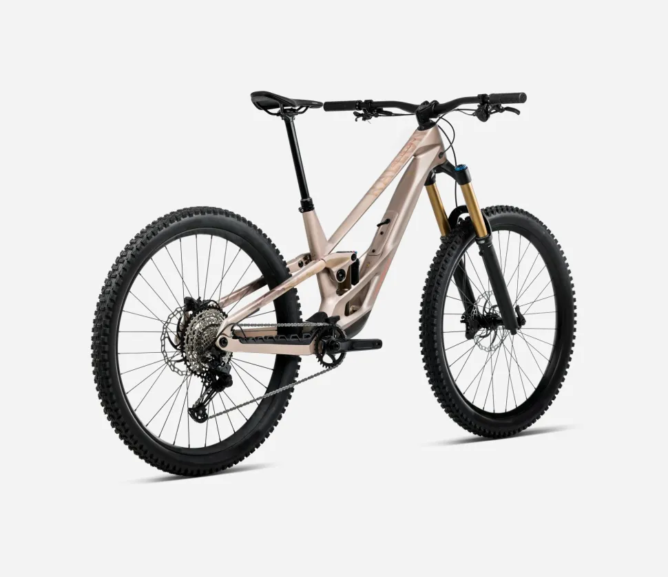 Orbea Rallon E-Team