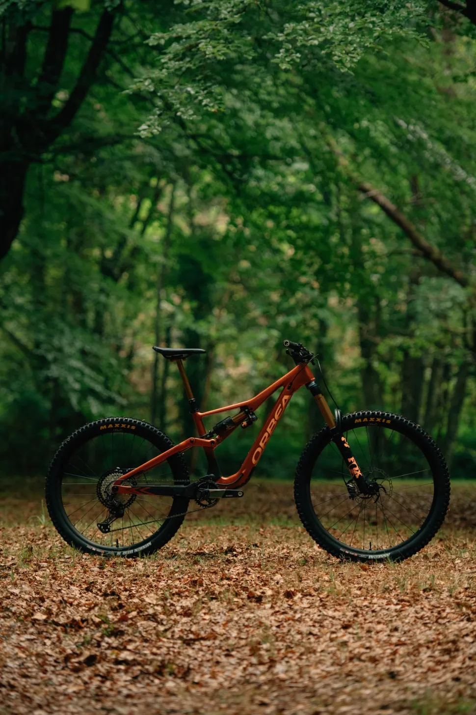 Orbea Rallon M10