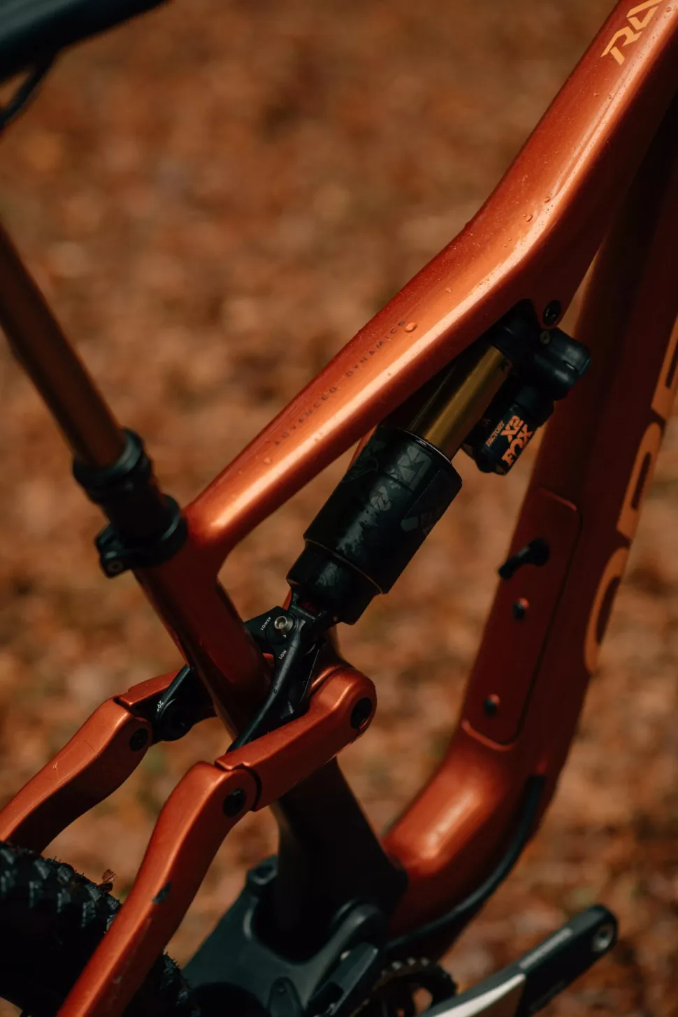 Orbea Rallon M10