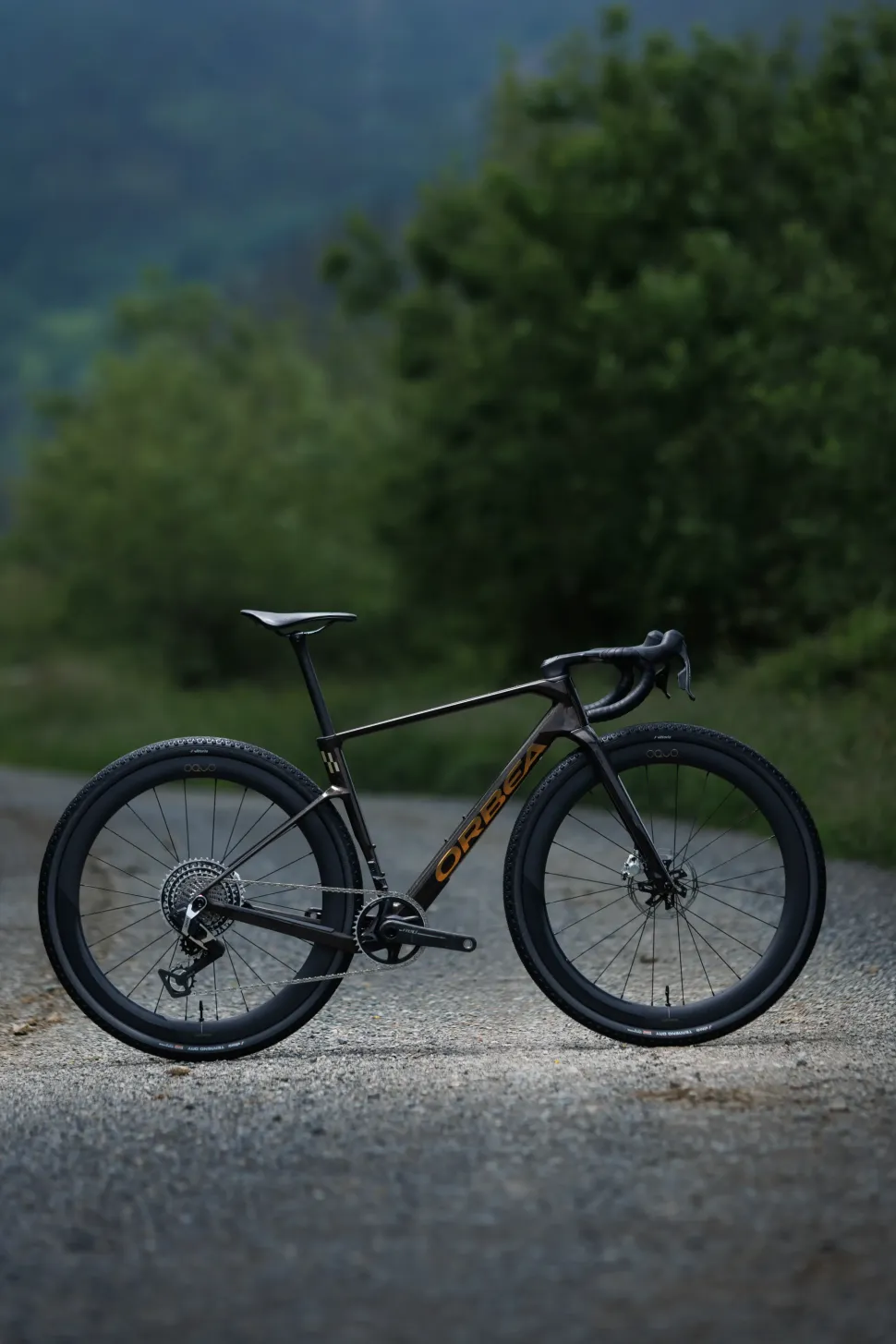 Orbea Terra Race M21eLTD 1X