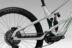 Orbea Wild LT H10