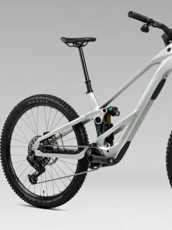 Orbea Wild LT M20