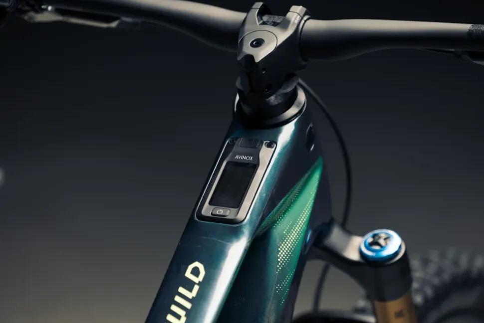 Orbea Wild LT M-LTD