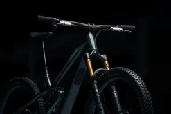Orbea Wild LT M-LTD