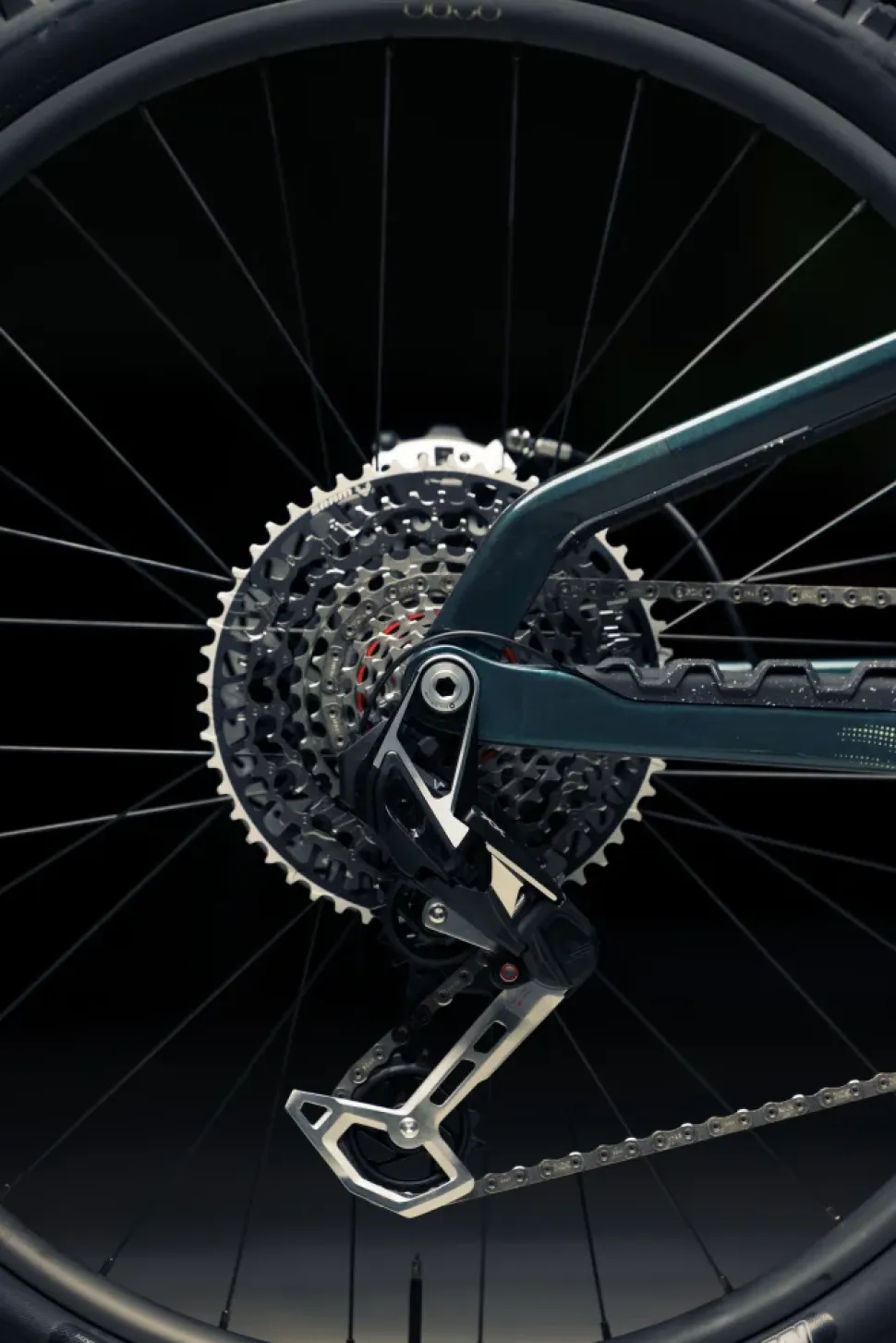 Orbea Wild LT M-LTD