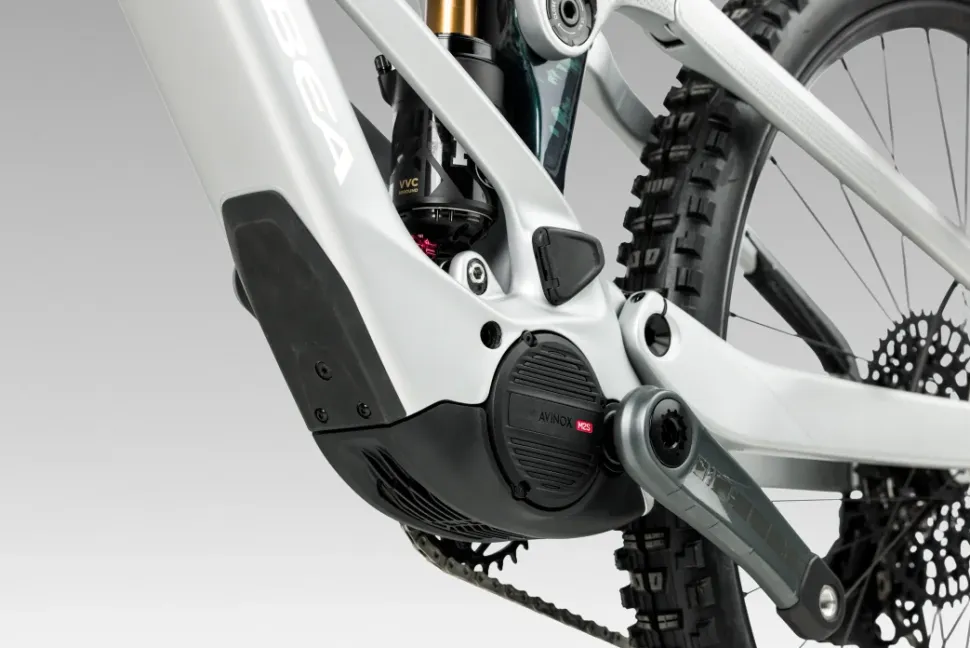 Orbea Wild LT M-Team