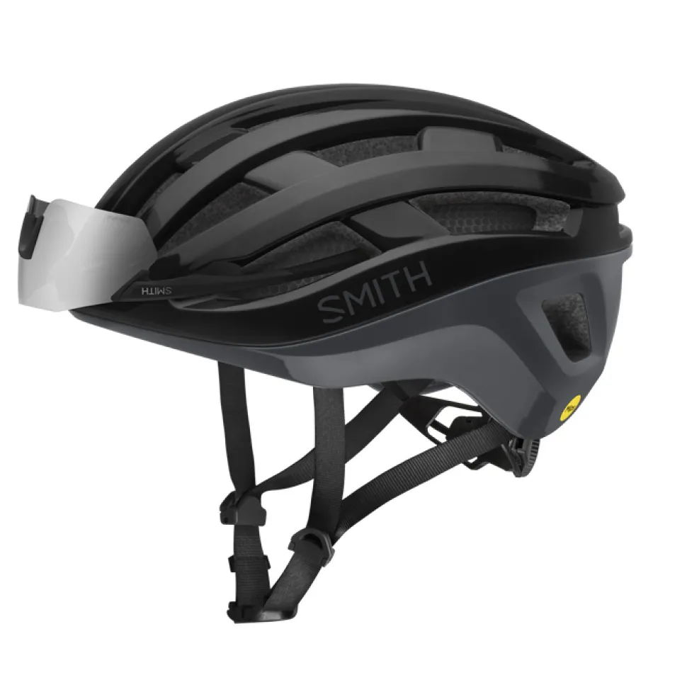 Smith Persist Mips