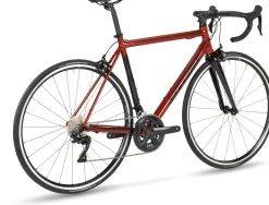 Stevens Bikes Stelvio