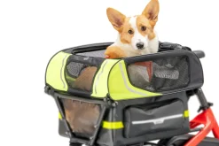 Tern Dog Roof Mini