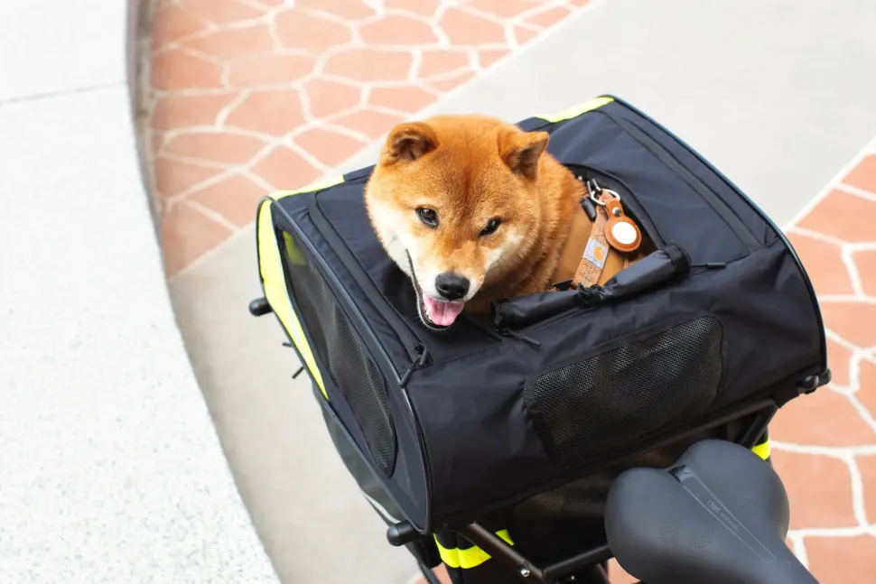 Tern Dog Roof Mini