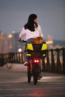 Tern Dog Roof Mini