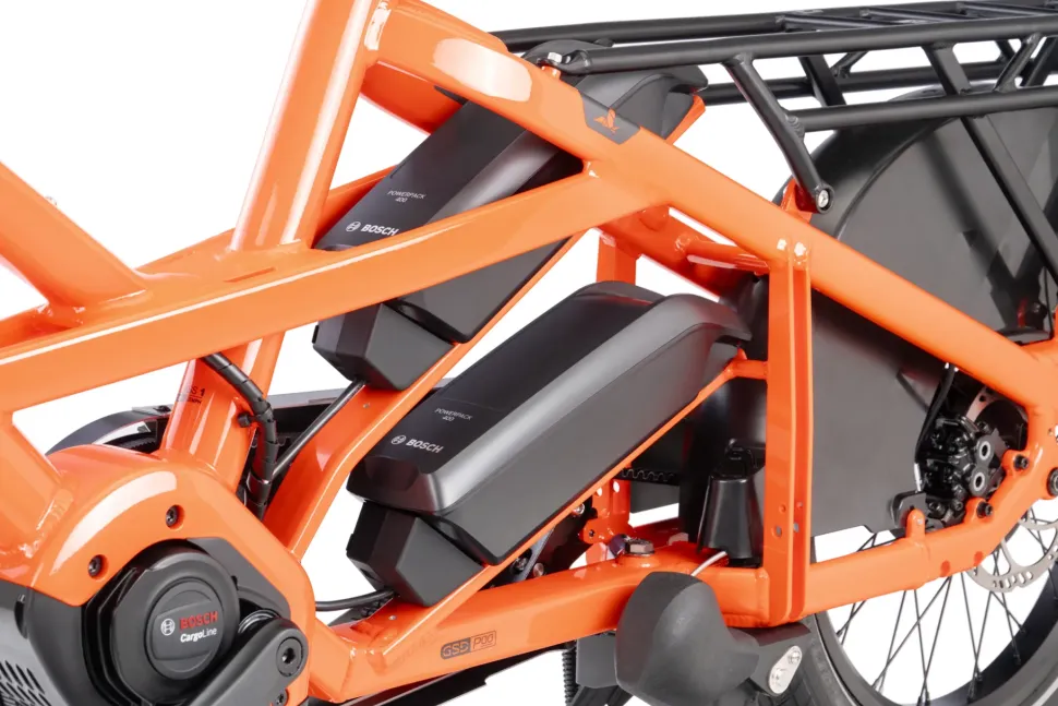 Tern GSD P10