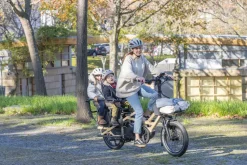 Tern GSD P10
