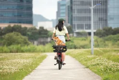 Tern Soft Crate Mini