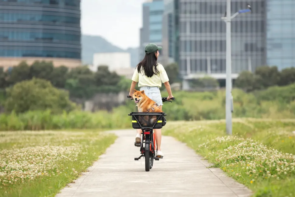 Tern Soft Crate Mini