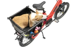 Tern Soft Crate Mini