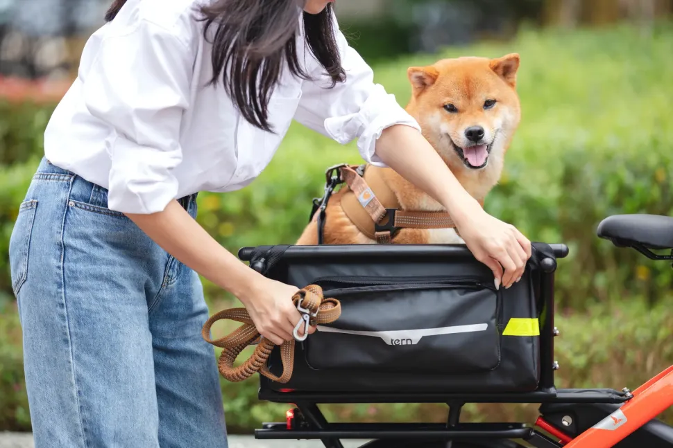 Tern Soft Crate Mini