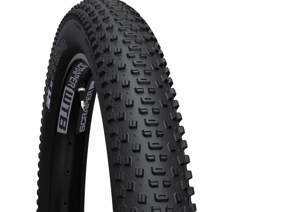 WTB Ranger 3.0 29" TCS LT/FR 60 D-DNA SG2