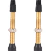WTB TCS tubeless venttiili presta 46mm
